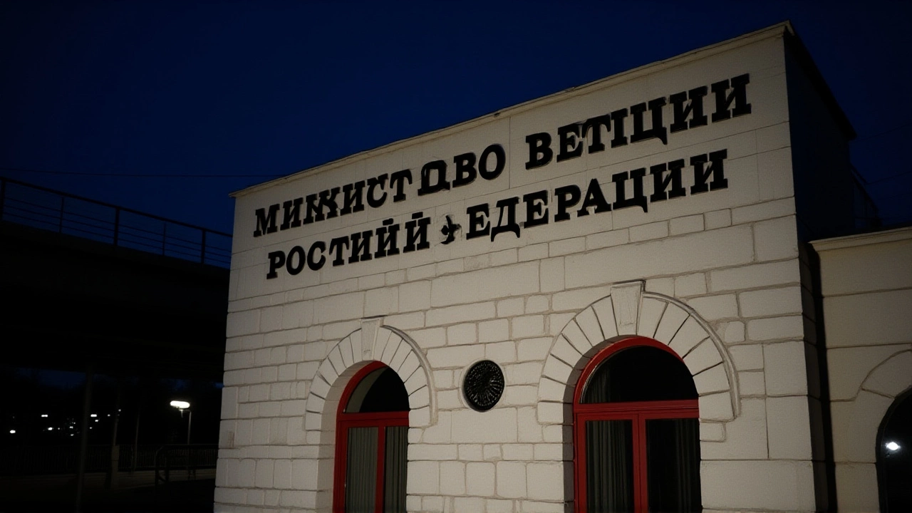 Минюст внес в реестр иноагентов журналистку Агалакову, Азара и украинского комика Лирника